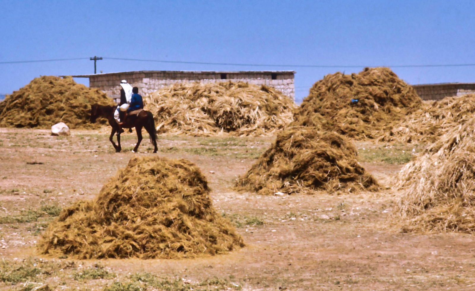 Damascus - Aleppo 1975